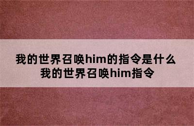 我的世界召唤him的指令是什么 我的世界召唤him指令